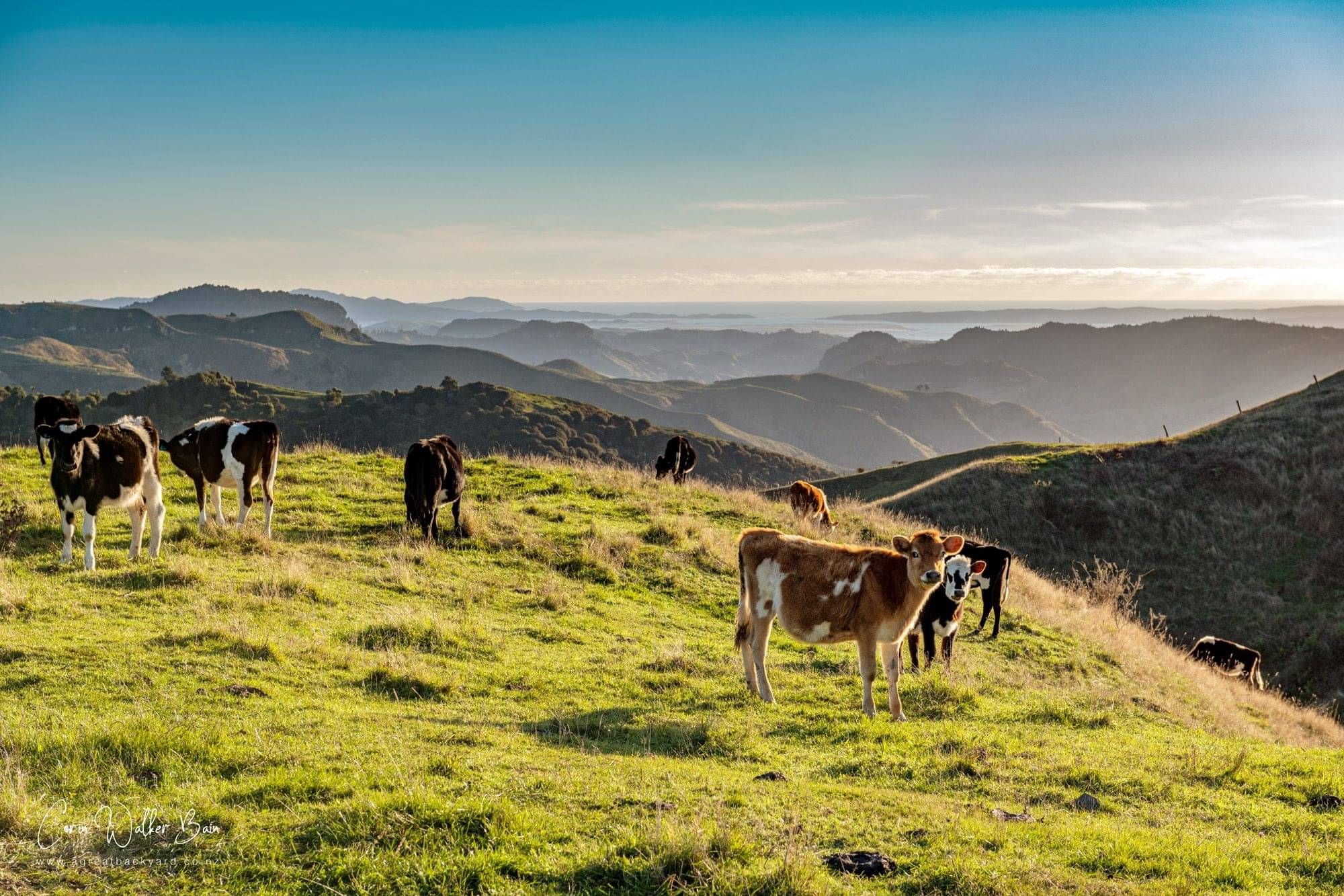 discover-kawhia-natural-spa-m-ori-culture-elevate